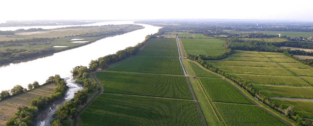 クル・ラ・マーキュリーヌ