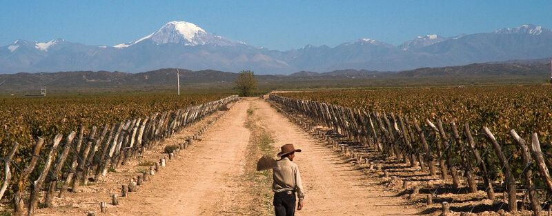 Anden in der Ferne Bodega Familia Blanco Anden in der Ferne Bodega Familia Blanco
