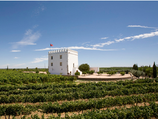 エスポラオ - ブドウ栽培