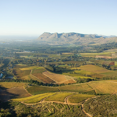 クラインコンスタンシア・ヴィンヤードのテロワールには多くの魅力がある