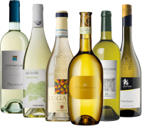 プレビュー: イタリアからの夏にぴったりのセレクション - お試し6本セット