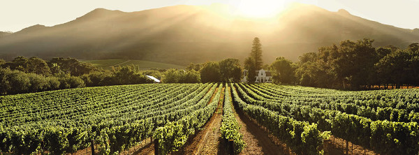 喜望峰にある Buitenverwachting