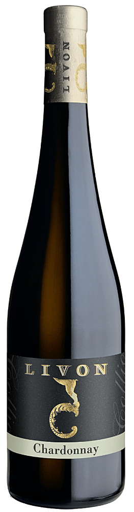 プレビュー: 寒い季節の白ワイン - 6本セットの試飲パック