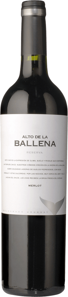 プレビュー: 6er Kennenlernpaket - Weine aus Uruguay