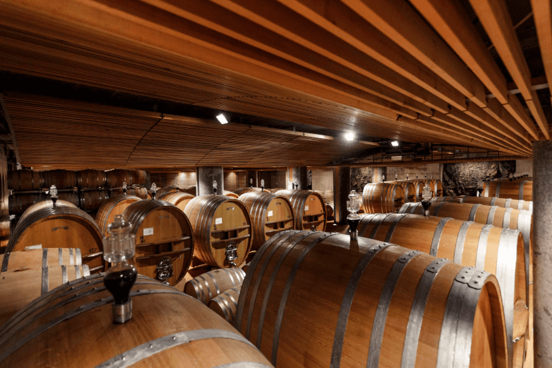 城の地下室 城の地下室