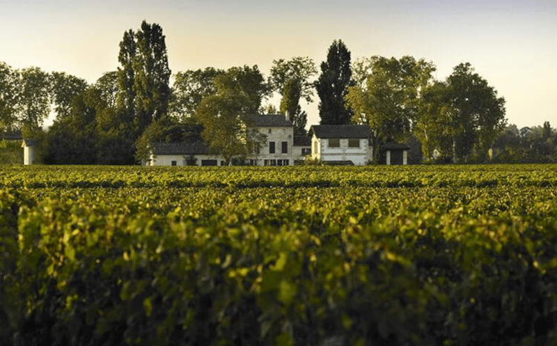 シャトー・ラ・グラーヴの眺め シャトー・ラ・グラーヴの眺め