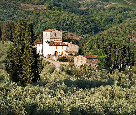 レンゾ・マッシ ワイン レンゾ・マッシ ワイン