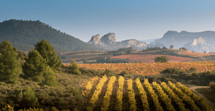 ロダのブドウ畑のパノラマ