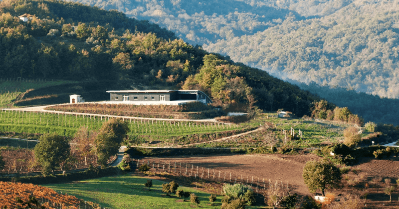 Blick auf das Weingut Vinosia