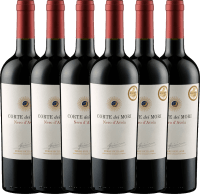 6er Vorteils-Weinpaket - Nero d'Avola Terre Siciliane - Corte dei Mori