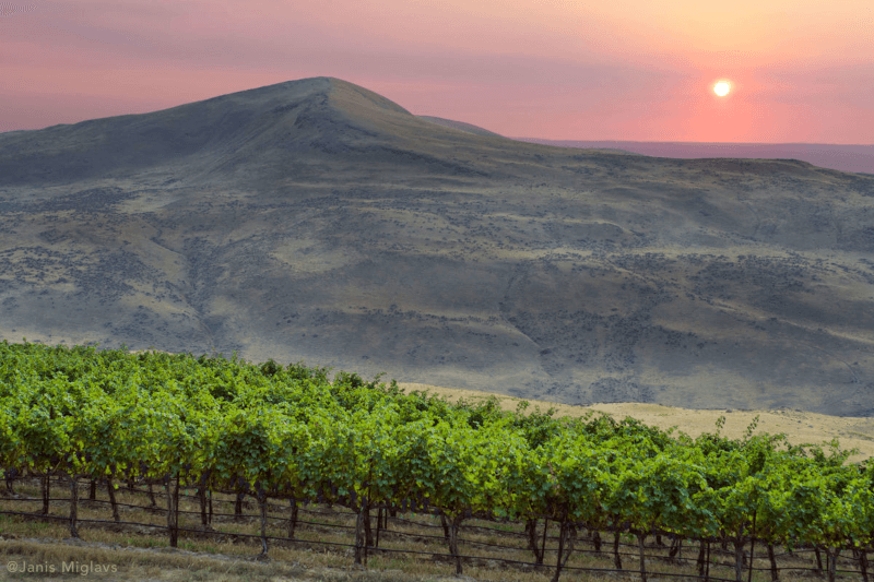 Weingut 14 Hands Landschaft Weingut 14 Hands Landschaft