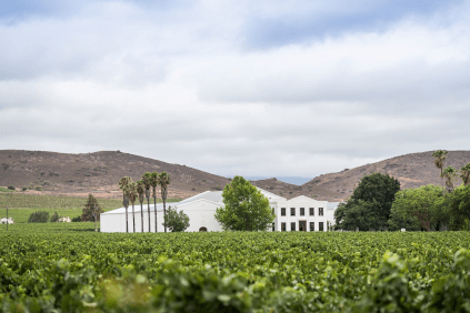 デ・ウェットスホフのワイナリー デ・ウェットスホフのワイナリー