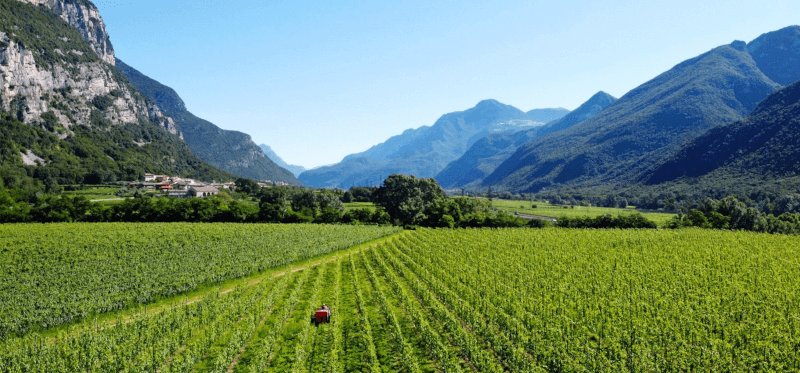 アルビーノ・アルマーニの風景