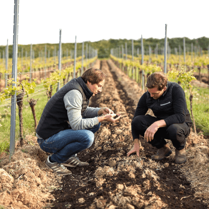 ドライジッガーの土壌検査 ドライジッガーの土壌検査