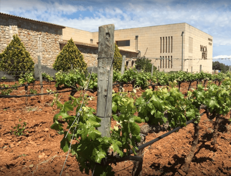 マキアバートル マキアバートル