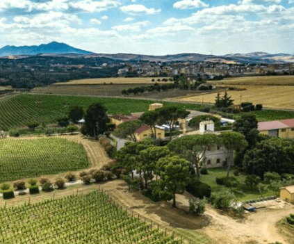 カンティーナ・レ・マンフレディーニ