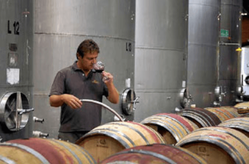 ラングマイル・バロッサ・ワインメーキング ラングマイル・バロッサ・ワインメーキング