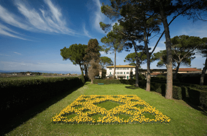 庭園とヴィラの眺め 庭園とヴィラの眺め