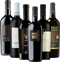 プレビュー: VINELLO の最高のプリミティーヴォ・チャンピオン 12本試飲セット