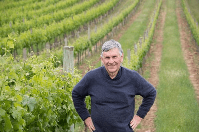 自らのブドウ畑に立つマーク・ロイド 自らのブドウ畑に立つマーク・ロイド