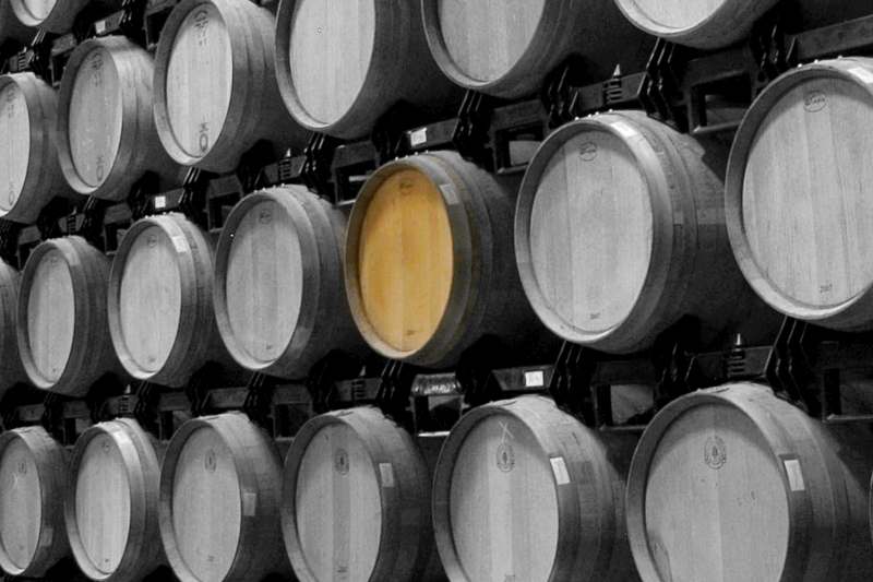 Finca Losadaのセラーにある樽