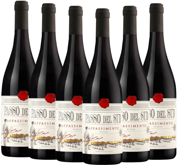 タガロ SLR「パッソ・デル・スッド アパッシメント プーリア IGP」6本お買い得セット