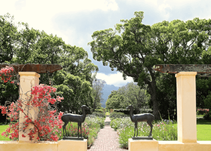 ヴェルゲリゲン・ワイナリーの庭