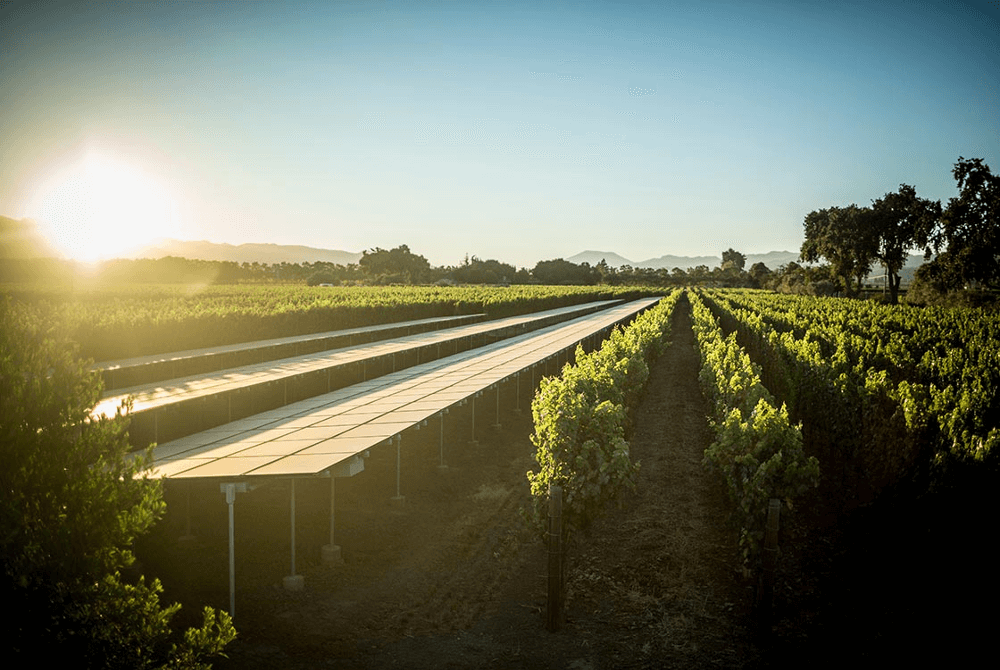 オークヴィル・エステートのど真ん中に設置されたソーラーパネル