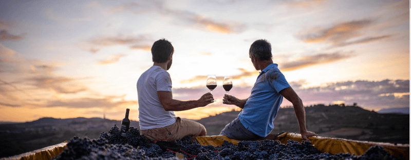 ヴィンタエ・ヴィンヤード