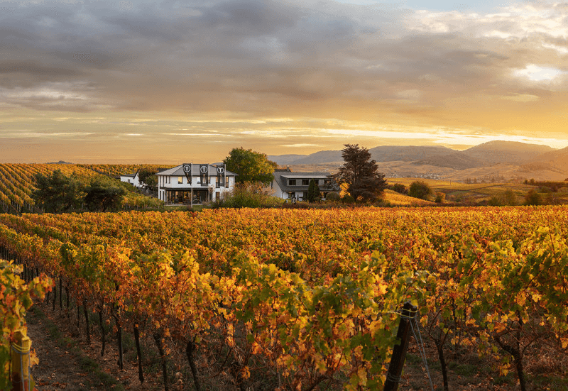 ティナ・パフマン・ワイナリー ティナ・パフマン・ワイナリー