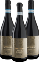 San Silvestro Appassimento Passito Piemonte Barbera DOC - Sartirano 3er Vorteilspaket