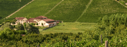 ラ・スピネッタのカンペ ラ・スピネッタのカンペ