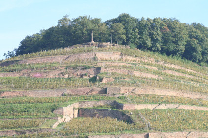 ドメーヌ・シュランバーゼーのブドウ畑を貫く印象的な石のテラス