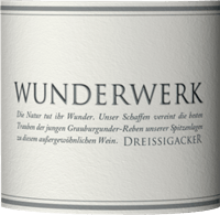 プレビュー: Wunderwerk Grauburgunder trocken - Dreissigacker