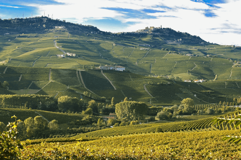バローロのブドウ畑のパノラマ バローロのブドウ畑のパノラマ