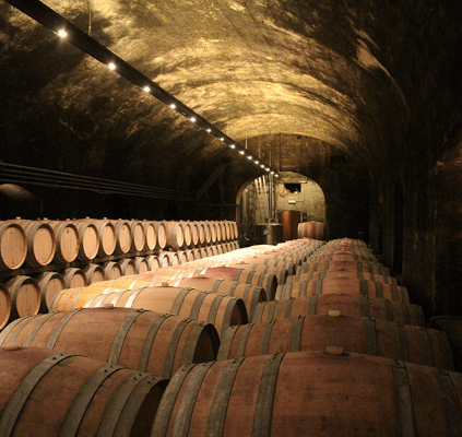 カルテルンのセラー カルテルンのセラー