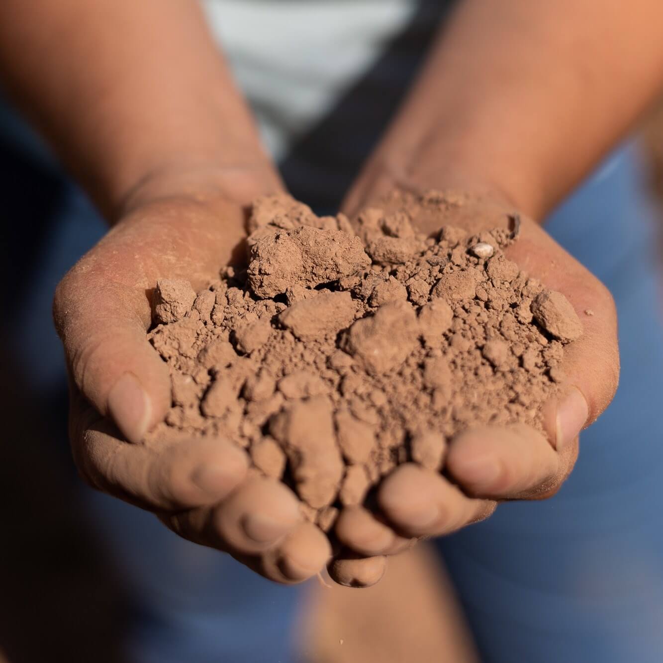 タラゴナの土 by Ramon Roqueta ボーデン-ラモン-ロケタ