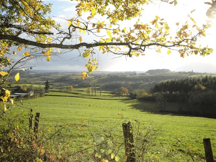 ヴィンヤード・イン・ブルゴーニュ