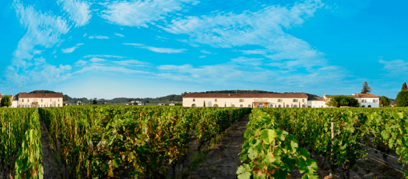 ワイナリー全景 ワイナリー全景