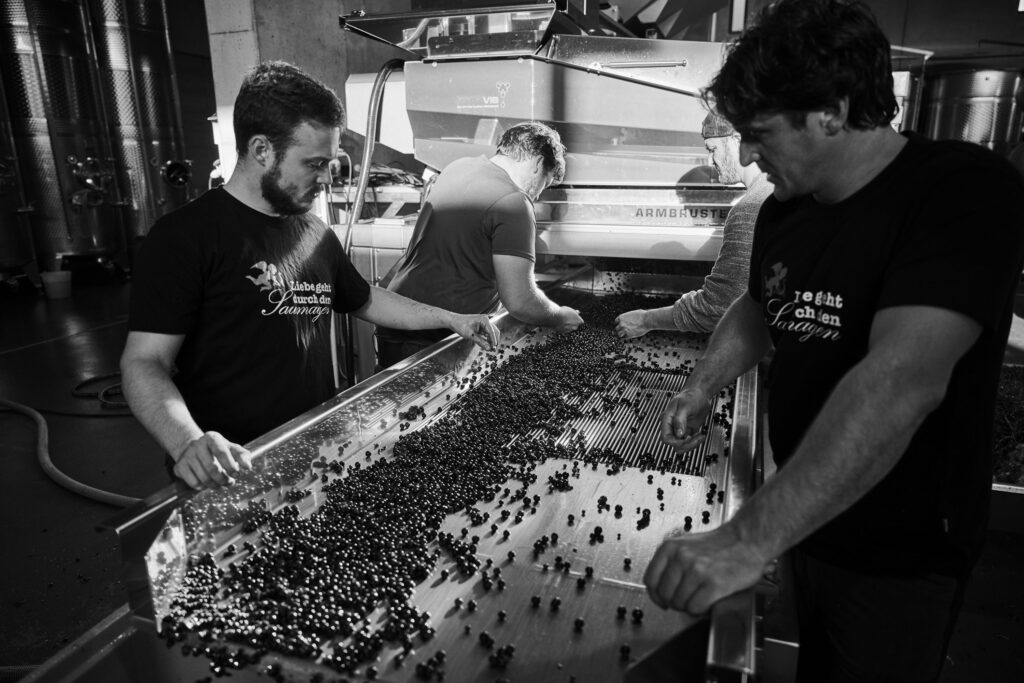 ヴァイングート・リングスのワインプレスハウスにて