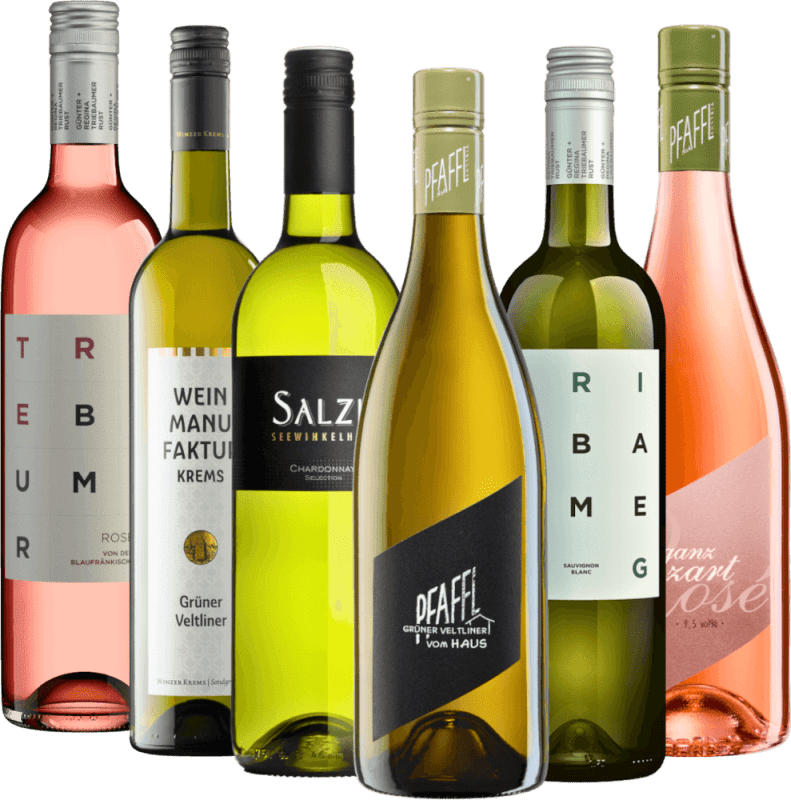オーストリアのベストワイン - 6倍テイスティングパッケージ