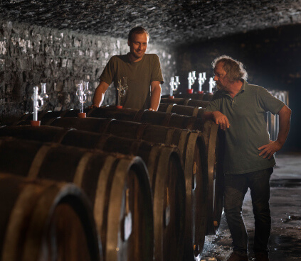 ワインセラー クレメンス・ブッシュ ワインセラー クレメンス・ブッシュ