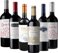 ディスカバリー・パッケージ6倍 - 南米のレゼルバ赤ワイン