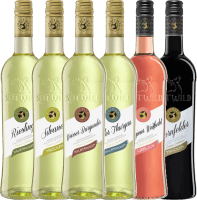 6er Winzerpaket feine Weine - Kellerei Rotwild