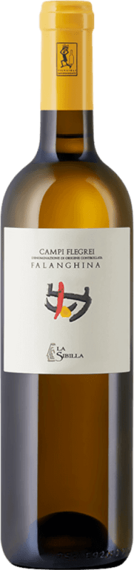 Falanghina Campi Flegrei 0,375 l - La Sibilla