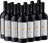 12er Vorteils-Weinpaket - Settebraccia Rosso - Cantina Sampietrana