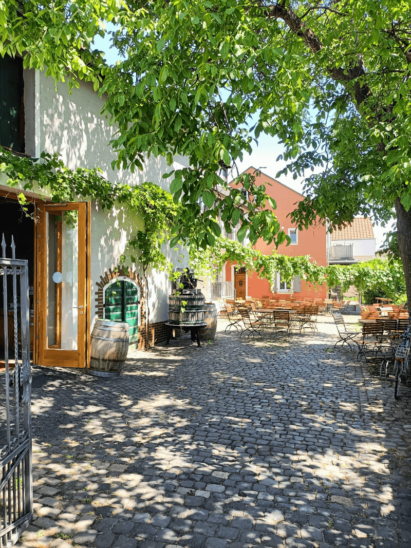 カスパー・ヘルケワイナリーの庭