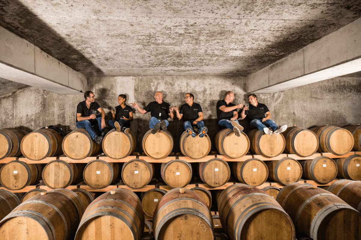 シュトゥディエのワインセラーで乾杯