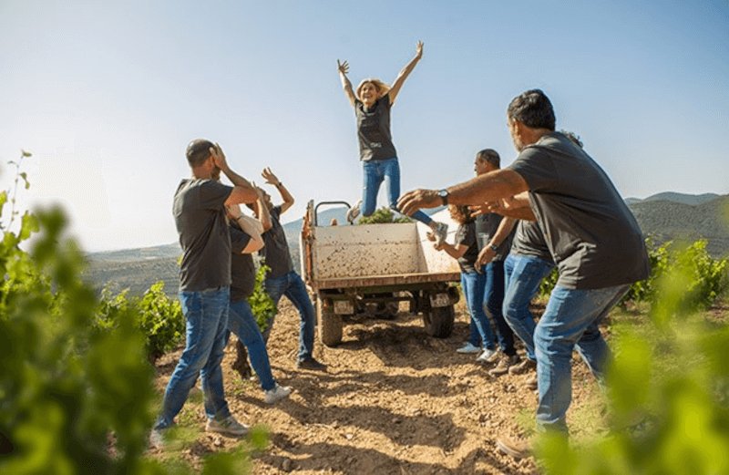 エア・ジャンプでワインメーカーに