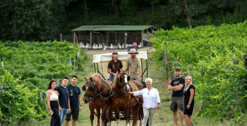 ディ・フィリッポ・チーム
